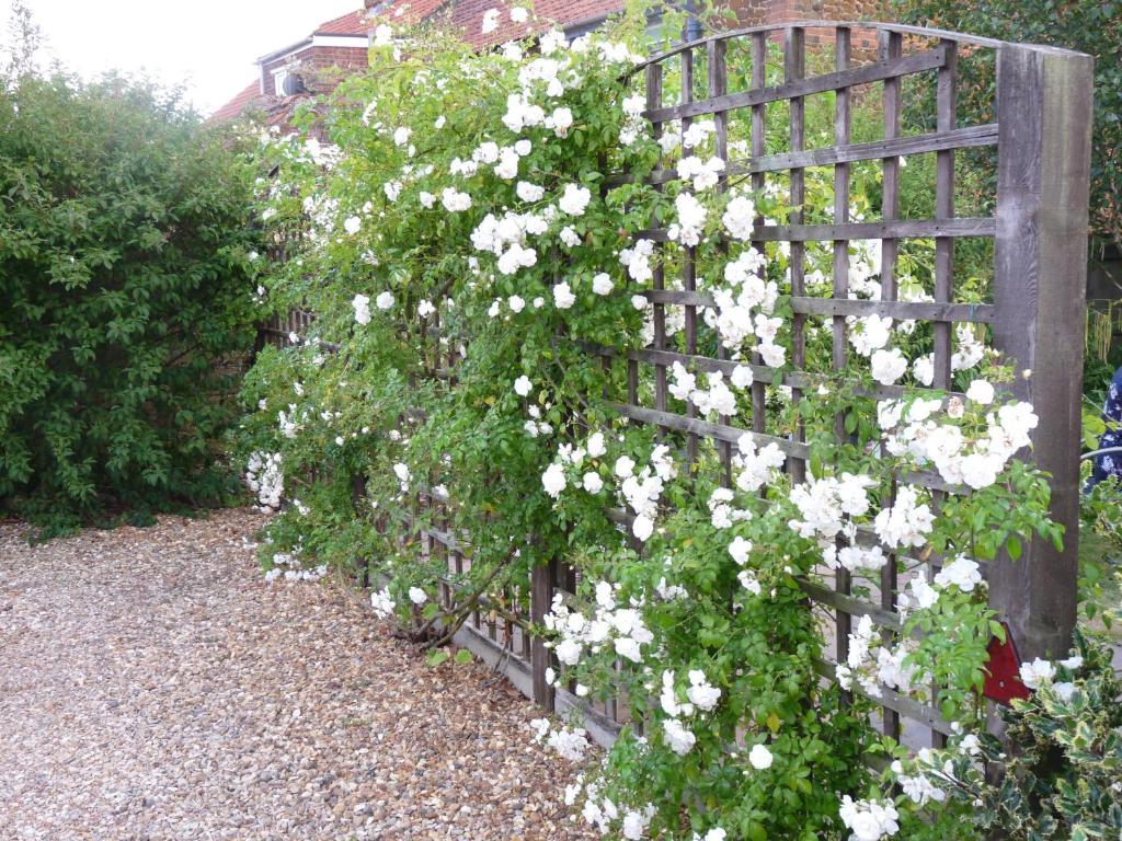 Bed and Breakfast Ashdene House Dersingham Exterior foto